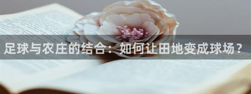 必一体育app下载装机吧