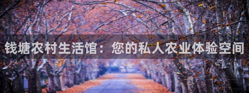 必一运动sport爱查股