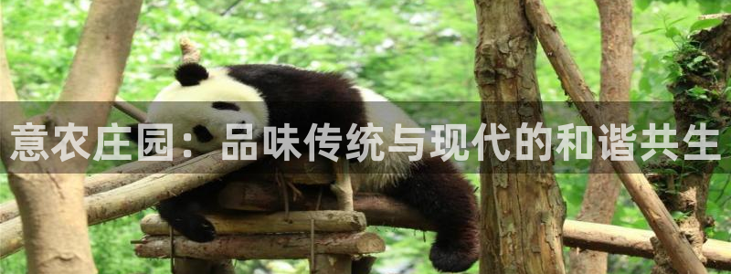 必一体育sport官网