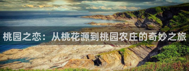 必一运动 b 体育素描版