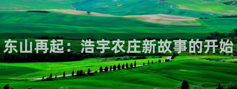 必一运动验证码