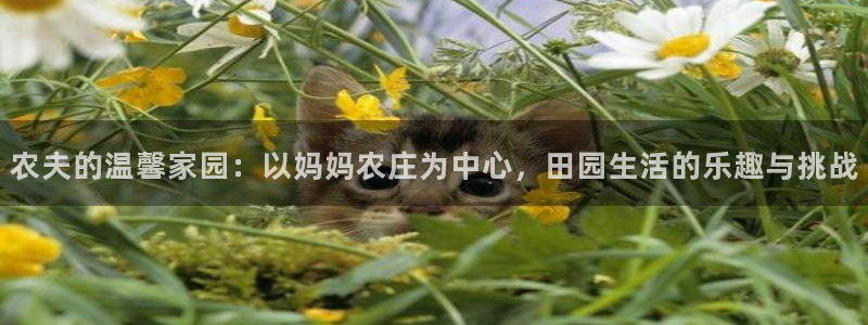 必一体育官方网站入口