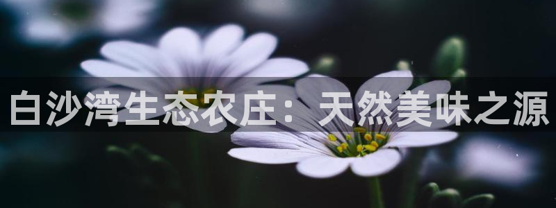 必一体育运动app