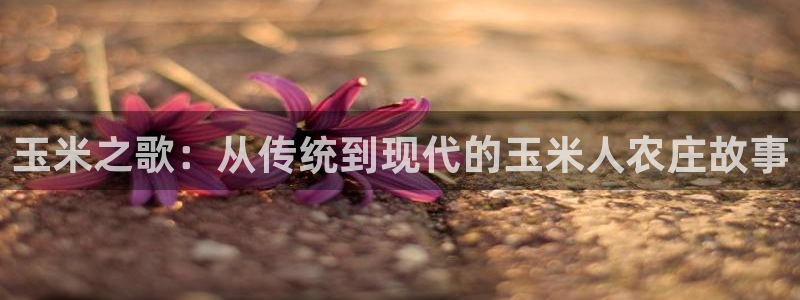 必一运动·(b-sports)官方网站