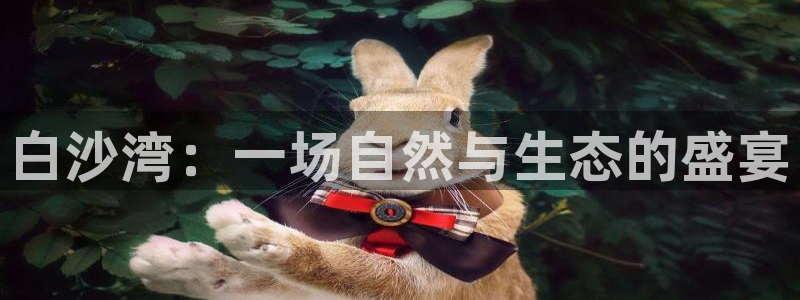 必一体育下载app下载