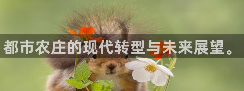 必一运动 b 体育素描版