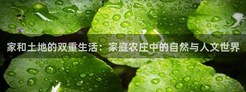 必一体育app官方正版下载