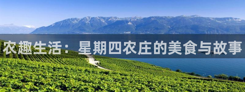 必一运动bsport体育app下载