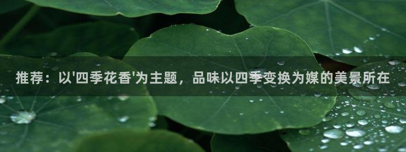 必一体育怎么下载