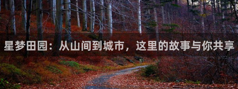 必一体育运动官网