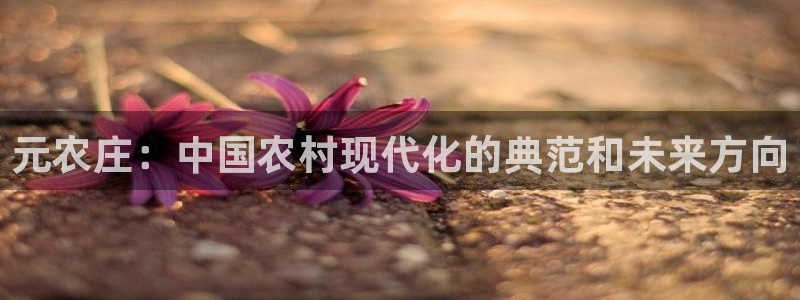 必一体育在线入口