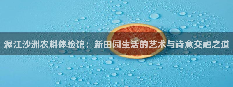 必一体育bsport下载