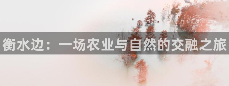 必一体育下载移动版