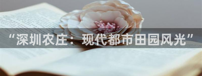 必一体育验证码