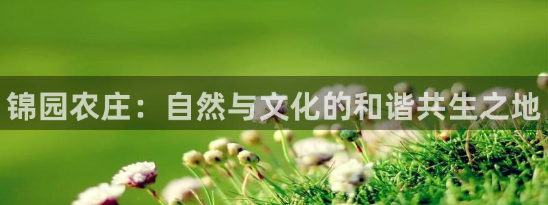 必一体育游戏特色