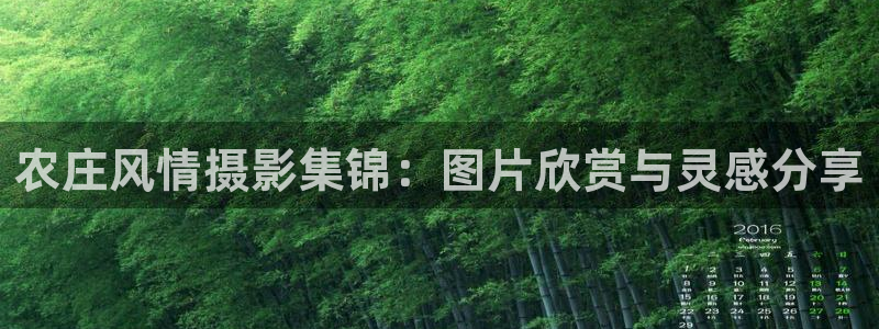 必一运动bsport体育app下载