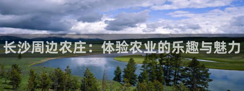 必一体育app平台下载