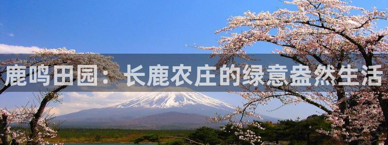 必一体育合法吗