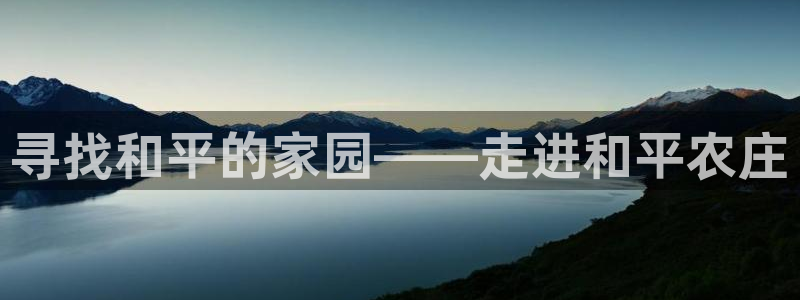 必一体育官方网站入口