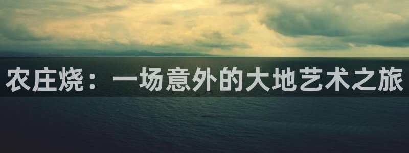必一体育在线官网