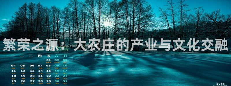 Bsport体育app必一