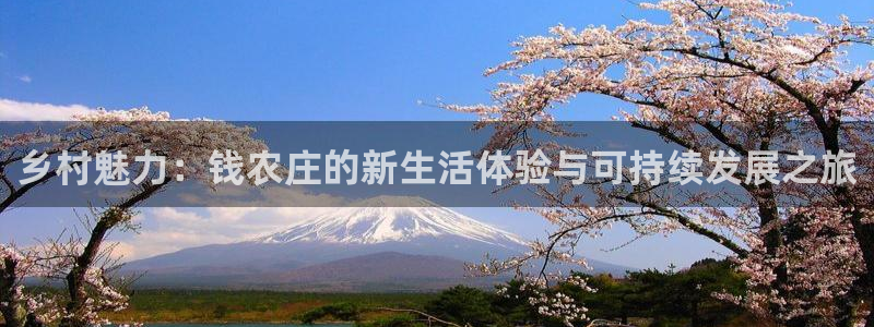 必一体育游戏特色