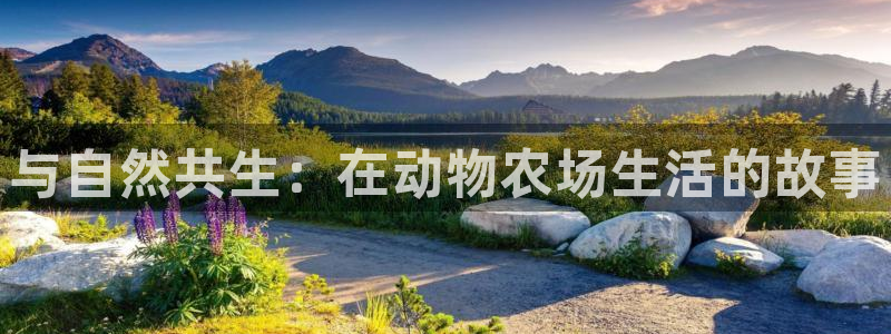 必一体育官网网站