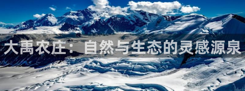 必一体育是哪里的台子