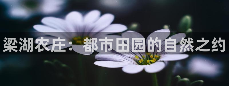 必一体育sport网页版