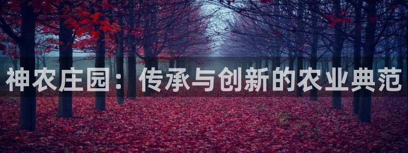 必一体育app官方下载入口