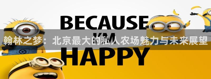 必一运动 b 体育素描版