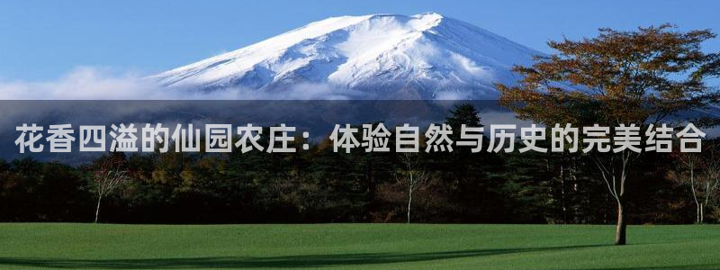 必一运动听的歌