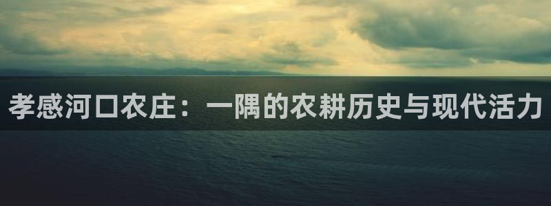 必一运动官网登录入口