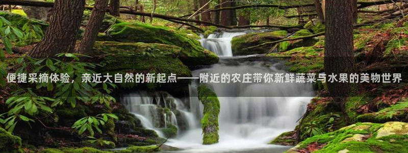 必一体育官方下载入口