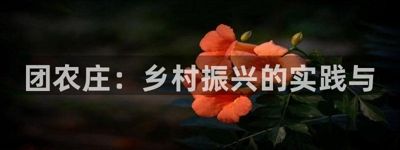 必一体育在哪下