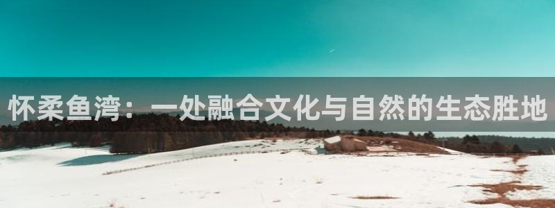 b体育官网下载入口app必一