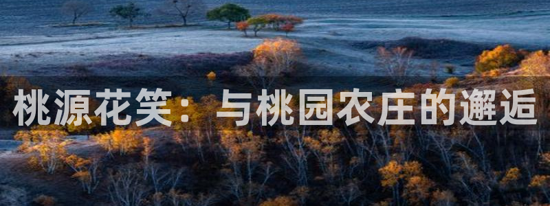 必一体育运动官网