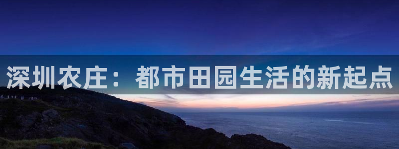 必一体育官网app