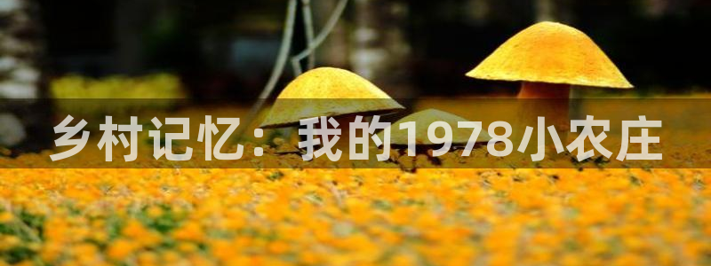 必一体育官网app