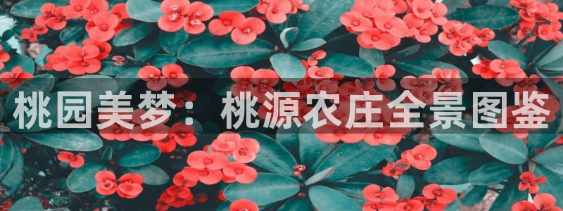 必一运动体育app