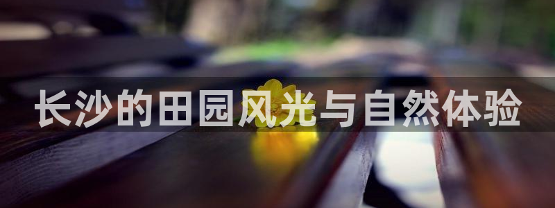 必一体育运动下载