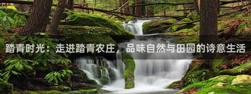 必一体育运动官网