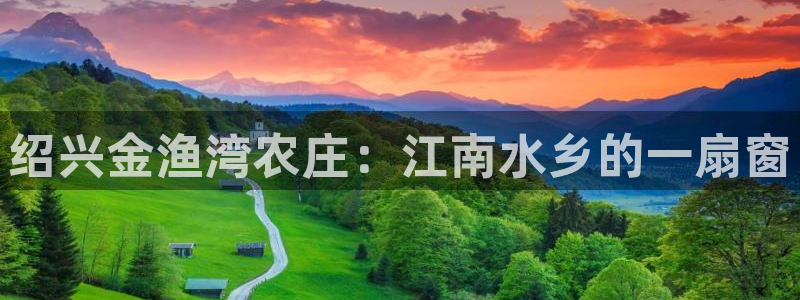 必一运动体育官网