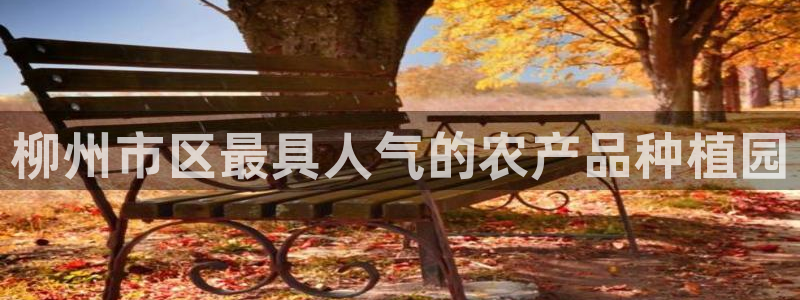 必一运动·(b-sports)官方网站