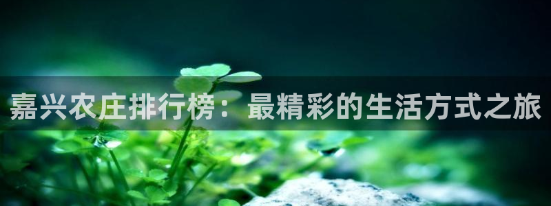 必一体育网页登陆