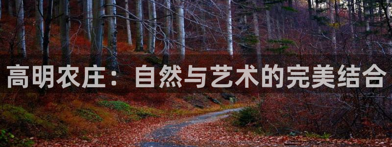 必一体育运动app