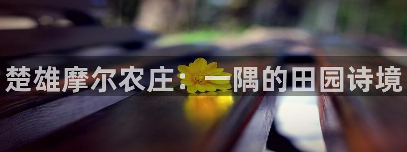 必一体育下载意思