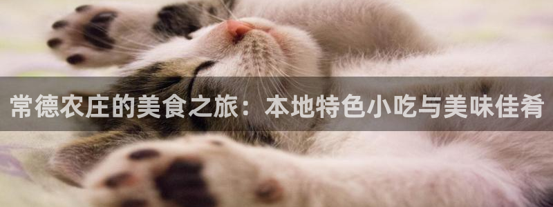 必一运动sport爱查股