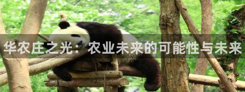 必一体育在线官网