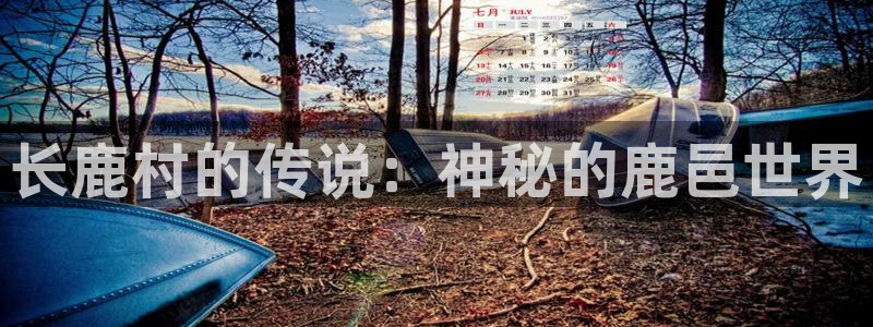 必一体育皮尔斯